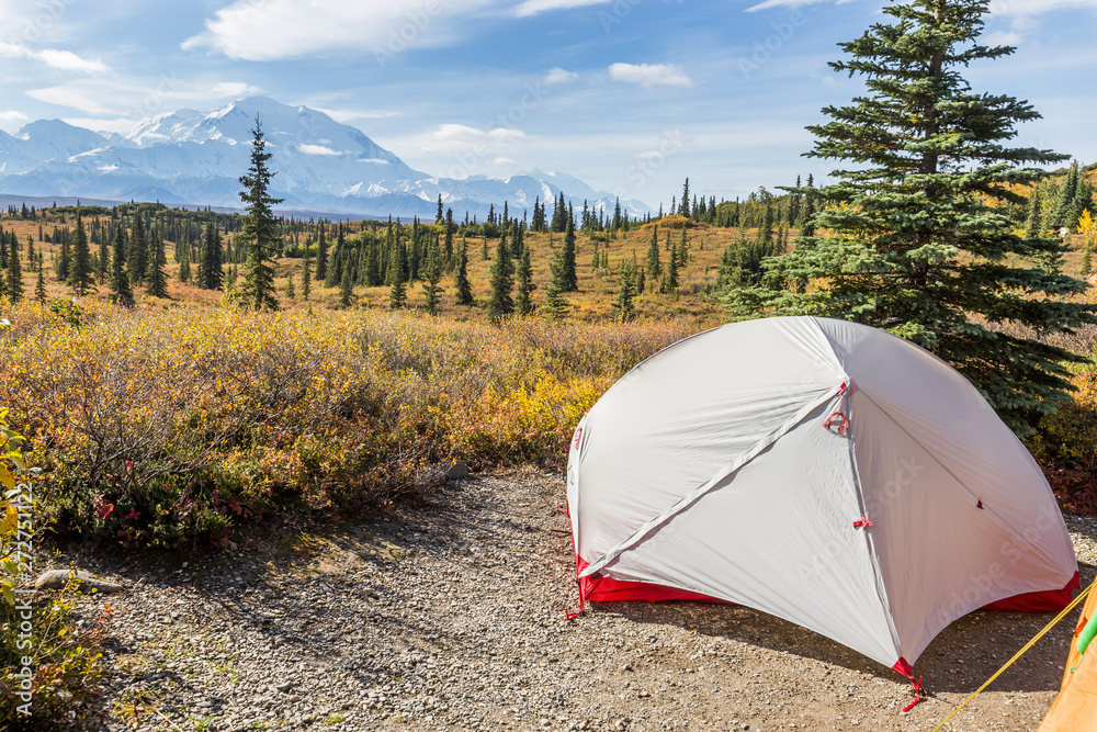 大自然の中でキャンプCamping in the wilderness of Alaska