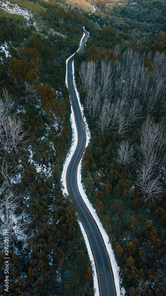 Aerial View of Road and Forest in Snow