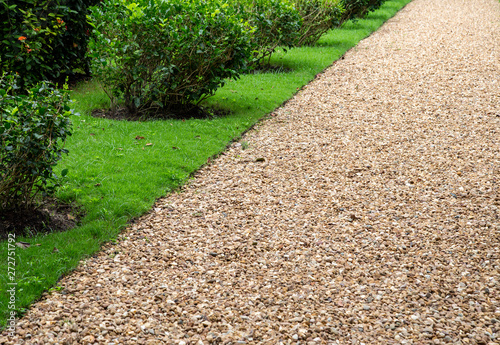Stone path way with plant
