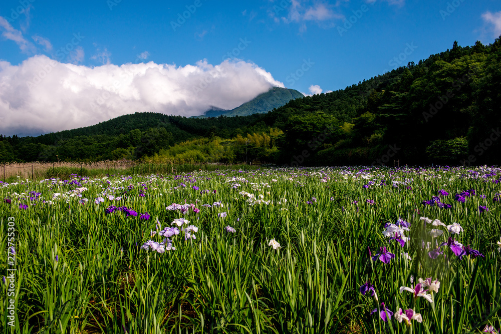 Obraz premium 神楽女湖