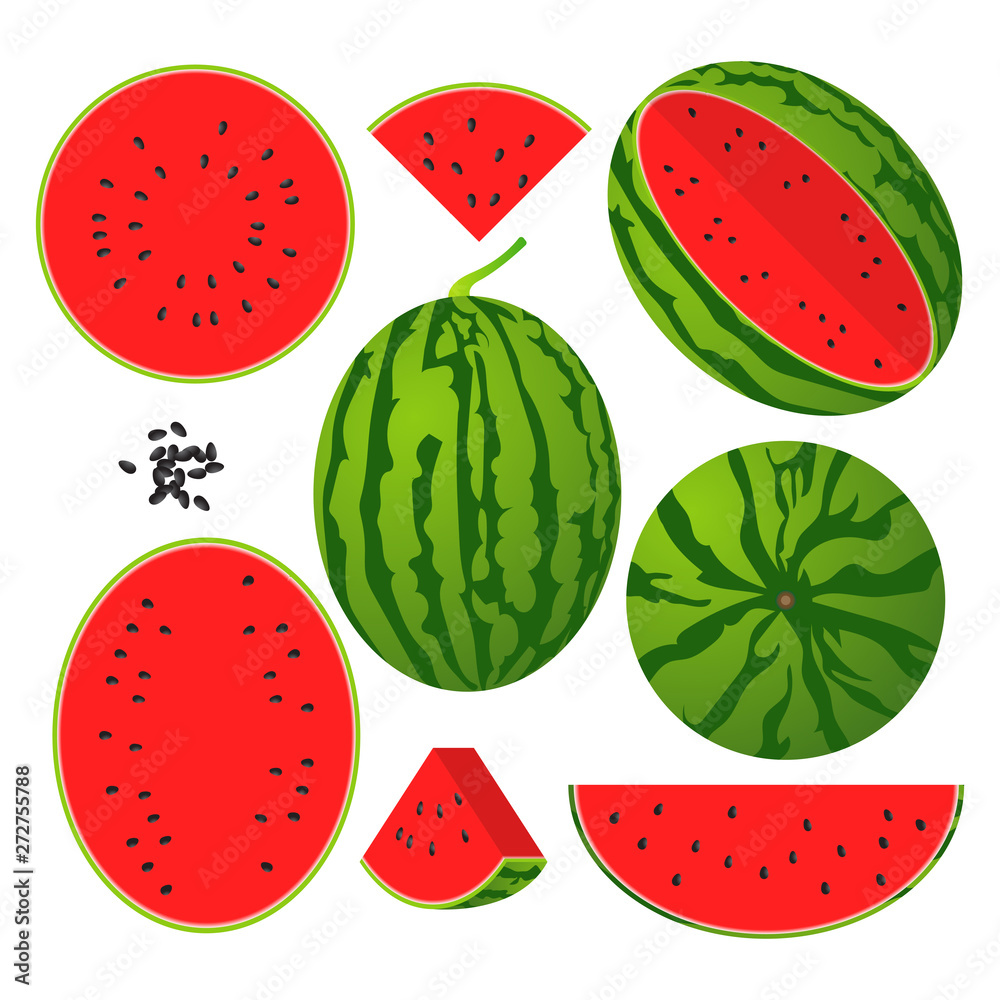 Watermelon vector illustration set. Whole, sliced and halved Watermelon graphics. Watermelon vector illustration set. Whole, sliced and halved Watermelon graphics.