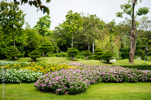 Garden - Green leaves and green grass Natural background