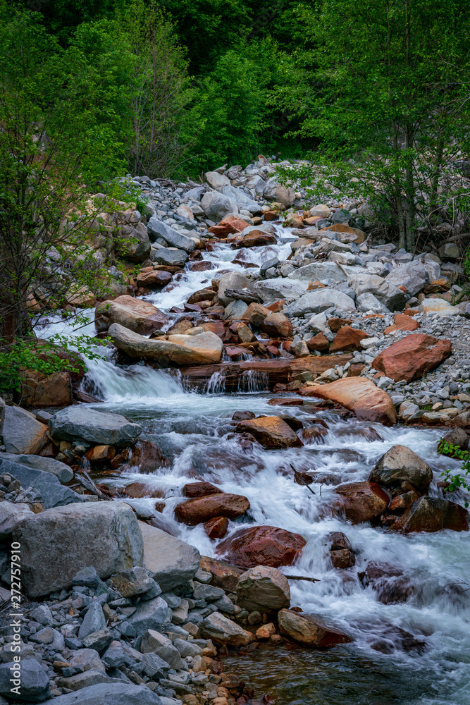Coldwater Lake Headwaters At North End of Lake Coldwater Lake Headwaters At North End of Lake