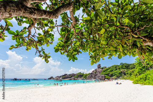 Fototapeta Naklejka Na Ścianę i Meble -  Beautiful tropical beach with coconut tree,beach in similan island,beach sand andaman sea