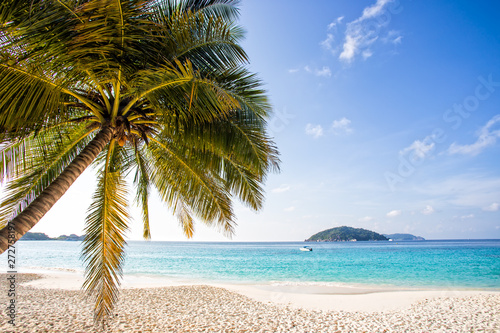 Beautiful tropical beach with coconut tree beach in similan island beach sand andaman sea