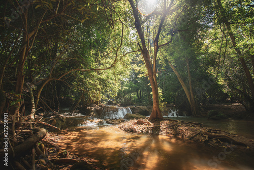 Fototapeta Naklejka Na Ścianę i Meble -  Waterfall green forest river stream landscape ,Waterfall hidden in the tropical jungle at National Park,Thailand.