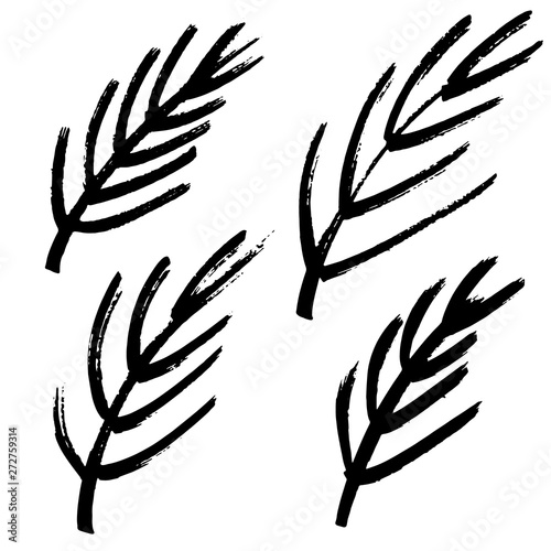 vector collection of cute doodle flowers, herbs, grass and branches, drawn in black outlines,isolated on natural background, spring graphic texture of meadow, wedding or birthday card  illustration