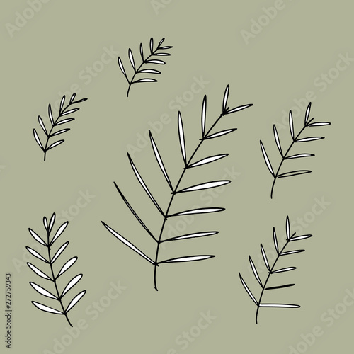 vector collection of cute doodle flowers, herbs, grass and branches, drawn in black outlines,isolated on natural background, spring graphic texture of meadow, wedding or birthday card  illustration