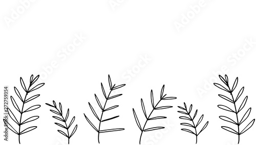 vector collection of cute doodle flowers, herbs, grass and branches, drawn in black outlines,isolated on natural background, spring graphic texture of meadow, wedding or birthday card  illustration