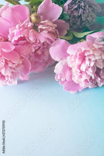 Wallpaper Mural Pink peonies Torontodigital.ca