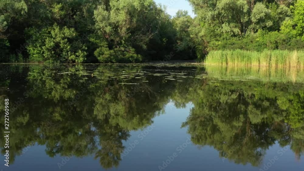 Movement along a quiet river with reflection of trees and sky in the water. Water lilies and reeds. Movement along a quiet river with reflection of trees and sky in the water. Water lilies and reeds.