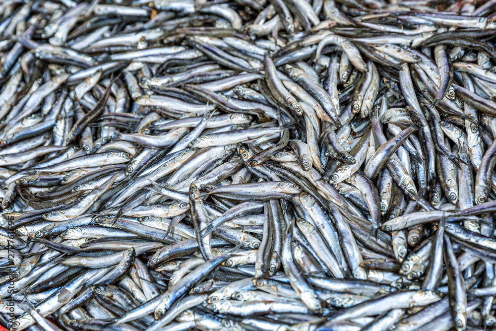 Fish on the counter in the market. Close-up. Background. Space for text. Fish on the counter in the market. Close-up. Background. Space for text.