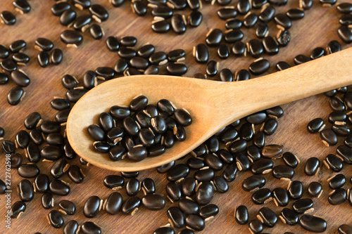 The seeds of Mucuna pruriens on woodspoon photo