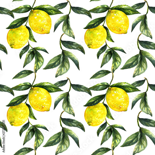 Hand painted lemon fruit on branch with leaves isolated.