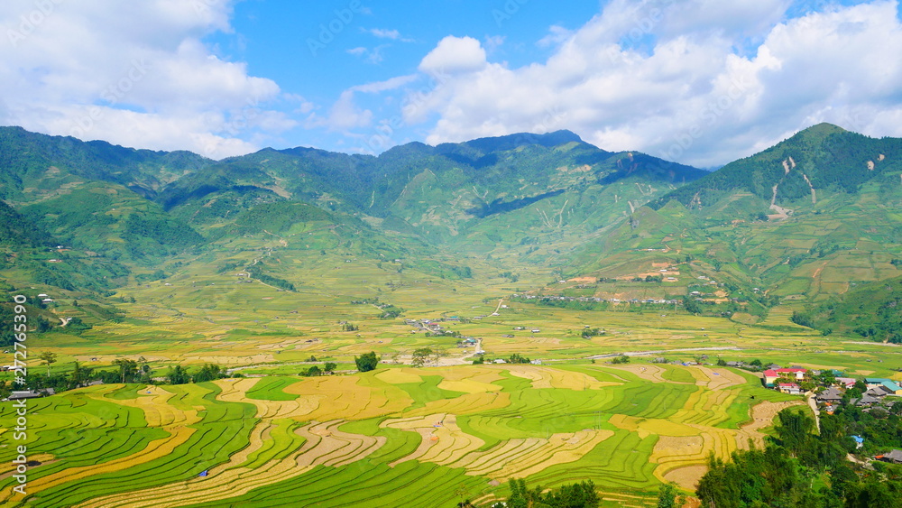 Asia mountain with rice field agriculture green landscape in asian farm. Plantation green rice terrace field ecology. Vietnam green yellow environment ecology system.