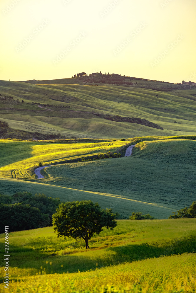 Fototapeta premium Tuscany landscape at sunrise. Typical for the region tuscan farm
