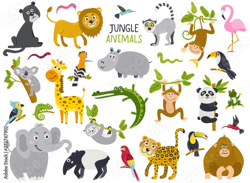 Big set of cute animals from jungle