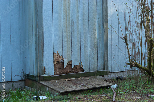damage to chiminey and siding from bugs and weather