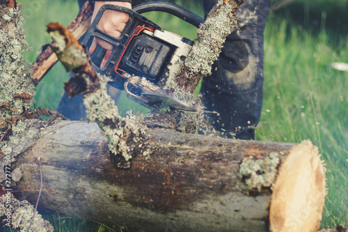 The guy chops the old tree in the mountains with a chainsaw. Ukrainian Carpathian Mountains. Bonfire. Tourism