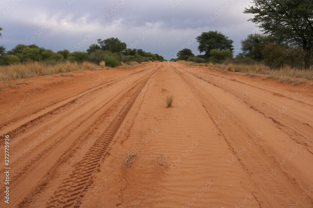 Typical wide sand road in the green desert of western Botswana.