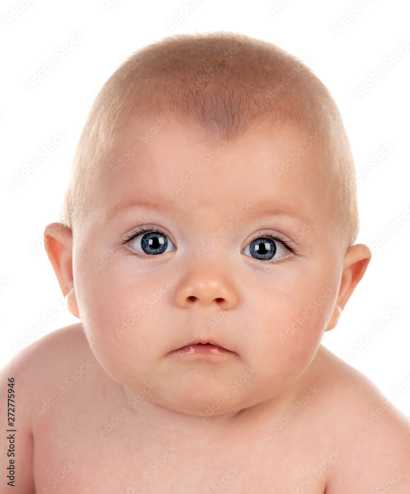 Portrait of a adorable baby five month old Portrait of a adorable baby five month old