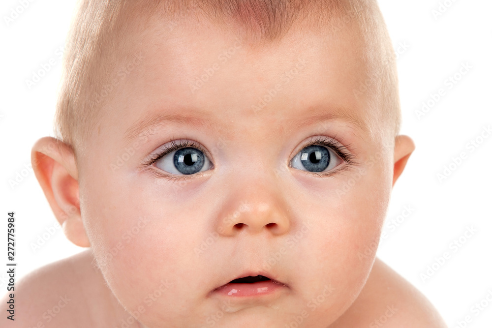 Portrait of a adorable baby five month old Portrait of a adorable baby five month old