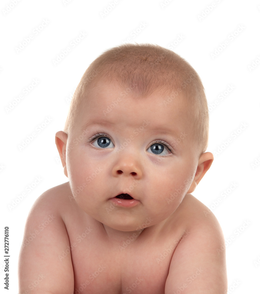 Portrait of a adorable baby five month old Portrait of a adorable baby five month old