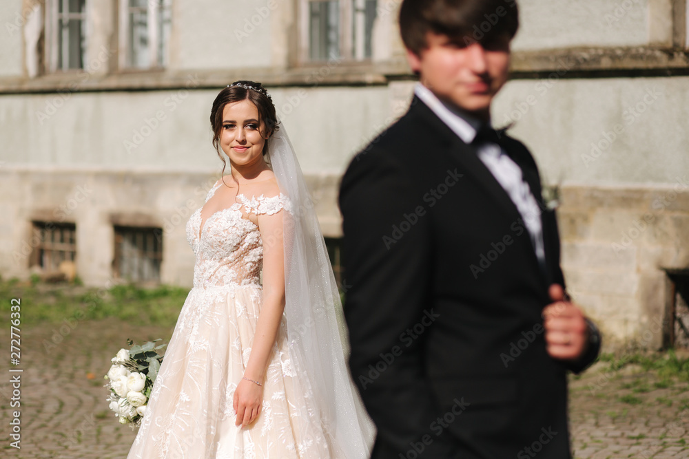 Newlyweds stand in front of castle. Groom and bride Newlyweds stand in front of castle. Groom and bride