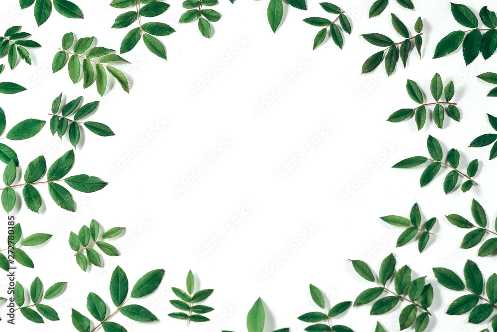 Frame of green leaves on white background. Nature background. Summer minimal concept. Flat lay, top view, copy space