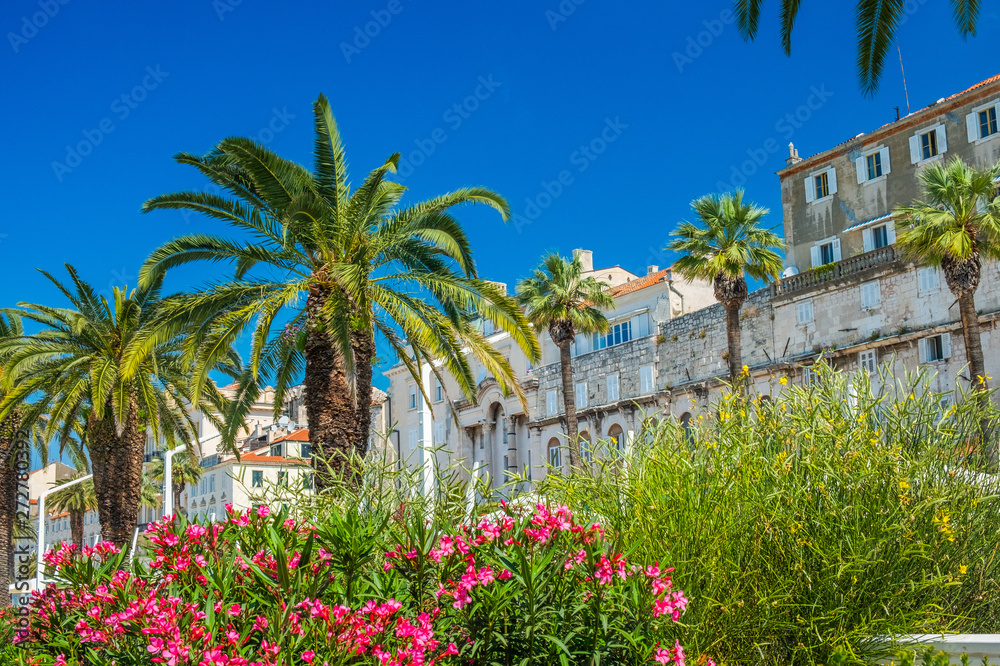 City of Split, Croatia, palms in front of walls of palace of Roman emperor Diocletian