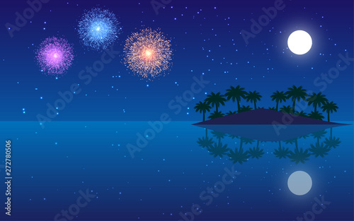 colorful firework at the beach in the night