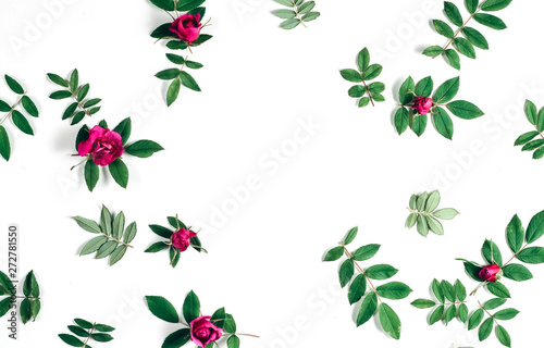 Flowers composition. Frame made of red rose flowers and green little leaves on white background. Many little leaves for decorating any post card or celebration card. Flat lay  top view  copy space.