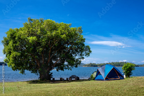 The camping tent is beside the lake and big tree in on sunny day.