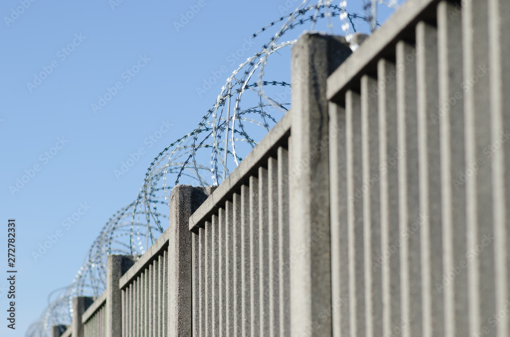 Obraz premium American barbed wire, called barbed wire, for border walls.