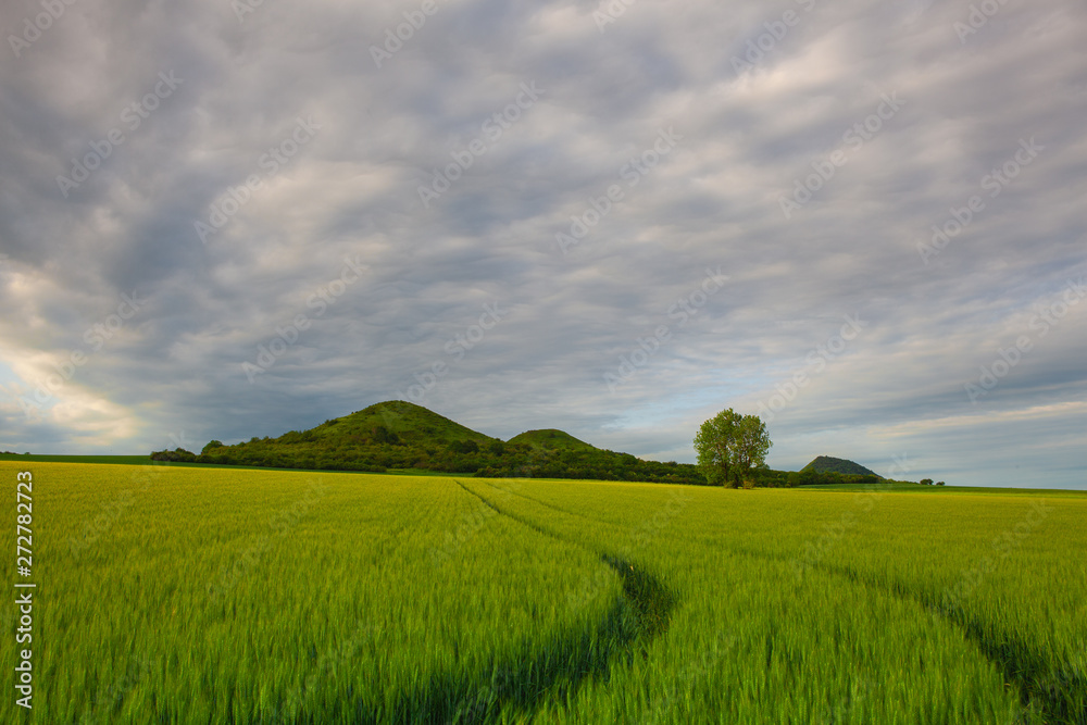 Obraz premium Scenery in Central Bohemian Highlands, Czech Republic.