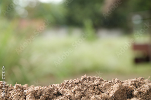 soil texture with green background for template design