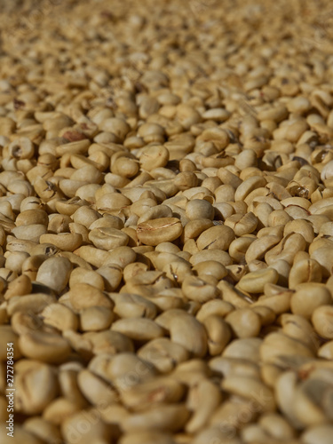 Close up dried coffee beans
