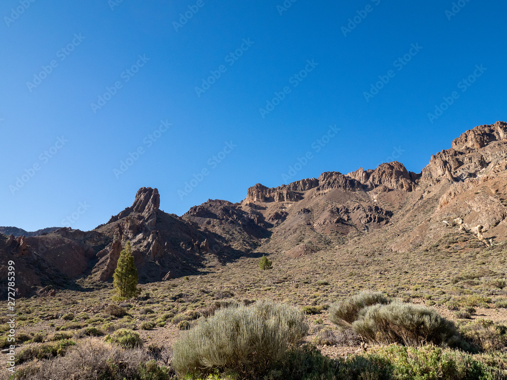 Volcanic landscape in Los Roques, and El Teide