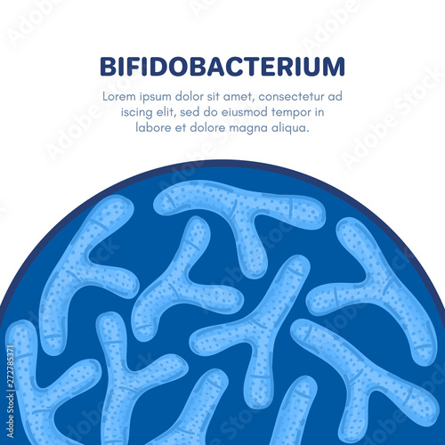 Vector background with probiotics in semicircular shape. Bifidobacterium. Microbiome. Medicine or dietary supplement. Brochure, flyer, label, cover, poster, banner, package, advertising, presentation