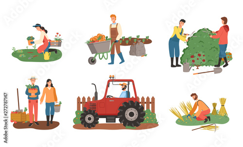 Farmers working on field vector, man and woman harvesting, lady planting, harvest of wheat flat style. Agricultural workers. Bushes cutting carriage loaded with pumpkin