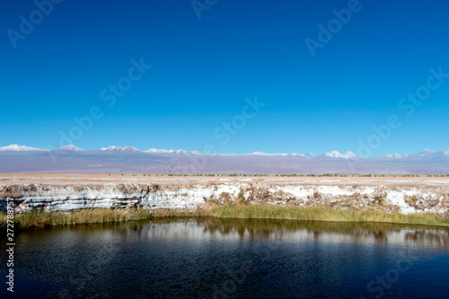 Salt Flat Lagoon Ojos del Salar in Atacama desert near San Pedro de Atacama, Antofagasta Region, Chile