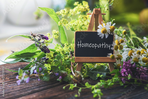 Tableau sur toile Homeopathy blackboard with medicinal herbs