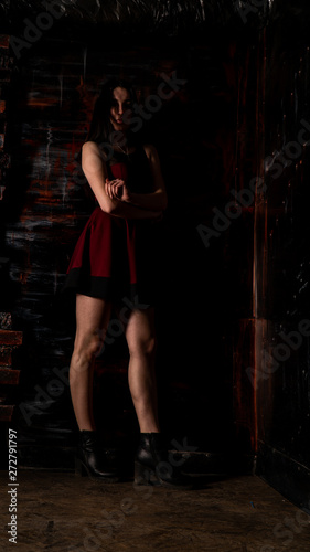 Pretty young sexy model female with dark hair in amazing long red dress and black shoes posing in dark studio © Oleksandr