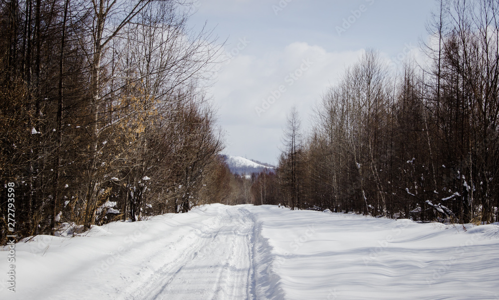 Fototapeta premium Winter forest road in the forest.