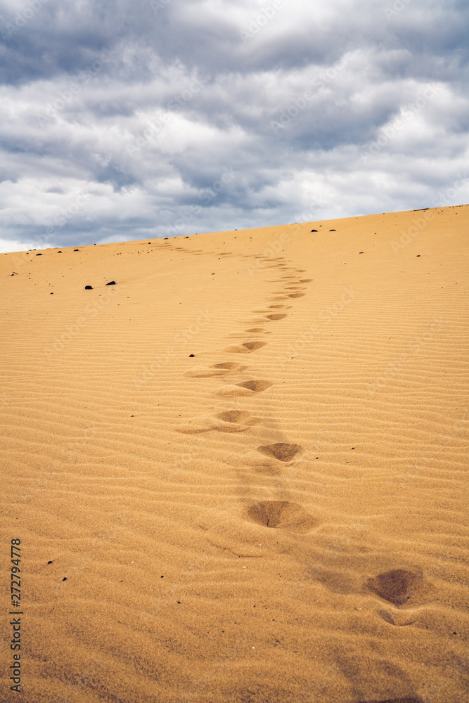 Footprints on the sand dunes. Mystical skies in the background. Footprints on the sand dunes. Mystical skies in the background.