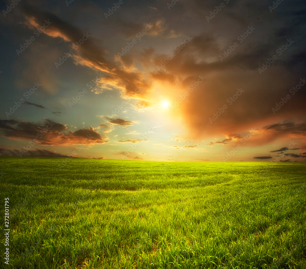 Beautiful sunset above the green field