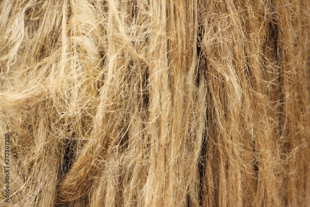 Vertical flax fibers, production of linen fabrics - texture for the background Vertical flax fibers, production of linen fabrics - texture for the background