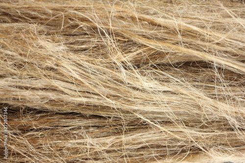 Horizontal dry flax fibers, production of linen fabrics - texture for the background