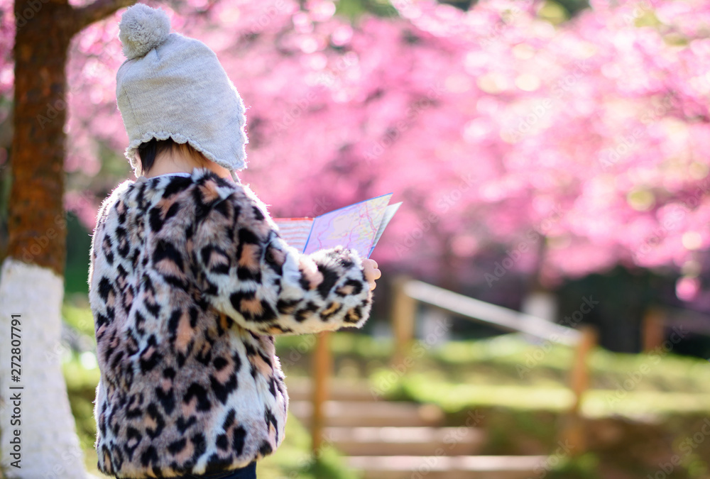 Asian child tourists holding a map in the park full of cherry blossoms Asian child tourists holding a map in the park full of cherry blossoms