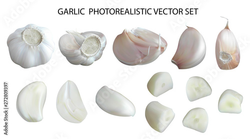 Photo realistic garlic with segments, peeled cloves, chopped slices, isolated on white background. Tasty ingredient for eating and cooking. 3d quality realistic vector icon set, menu illustration.